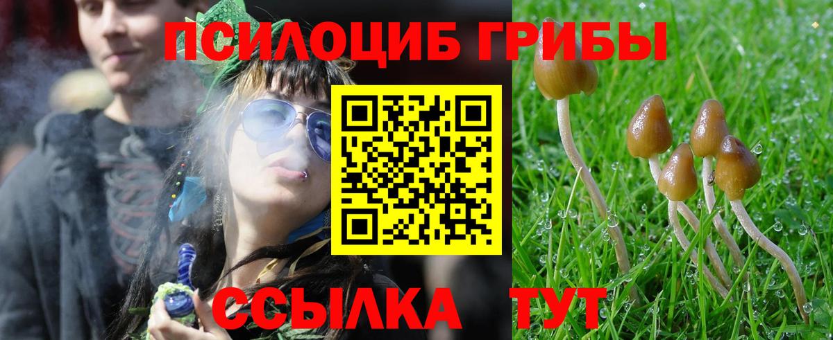 Псилоцибиновые грибы Psilocybine cubensis Ирбит