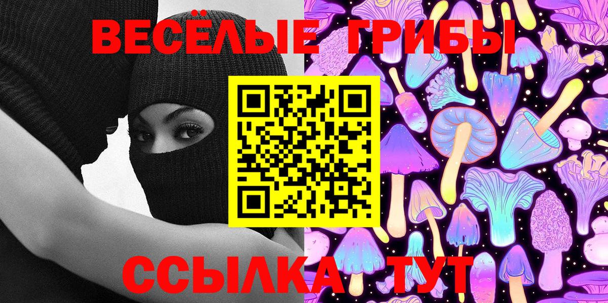Псилоцибиновые грибы Psilocybine cubensis  Вход с VPN  Псилоцибиновые грибы мухоморы  Ирбит 